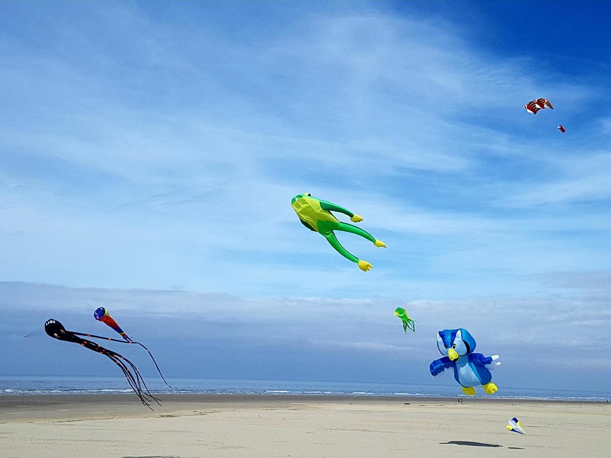 Les Coquillages, 2 Salles De Bain, Emplacement Ideal Berck Exterior foto