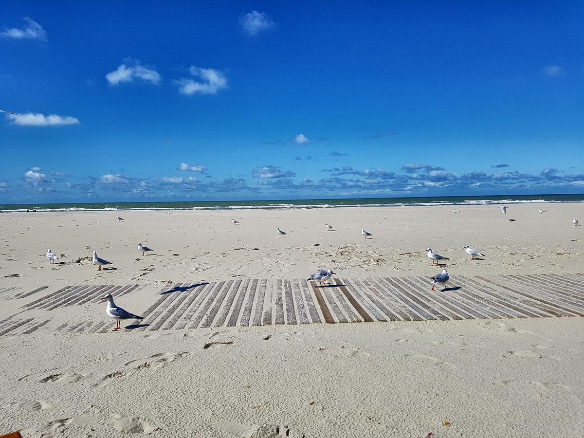 Les Coquillages, 2 Salles De Bain, Emplacement Ideal Berck Exterior foto